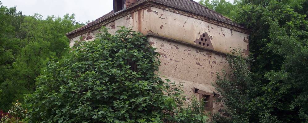 
            Фотография Саль (Округ Альби)