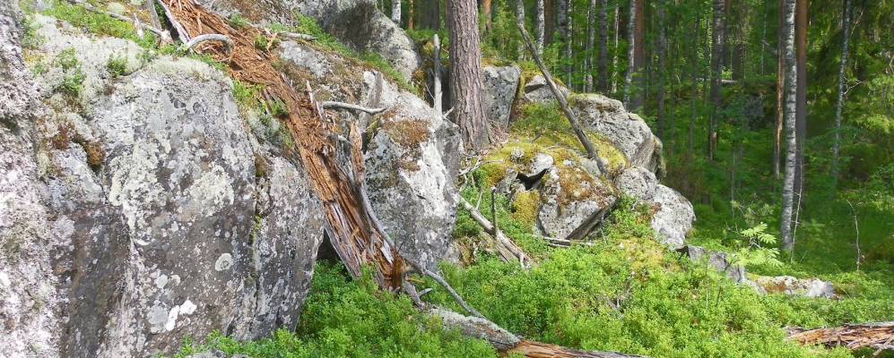 
            Фотография Шукши