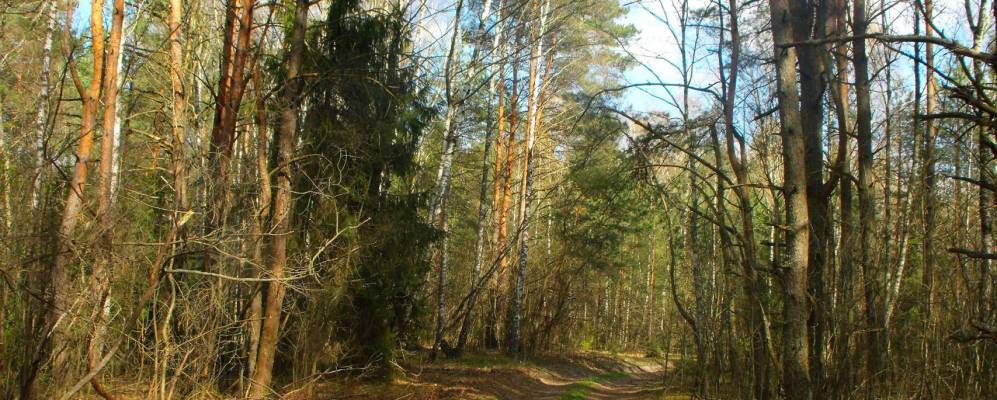 
            Фотография деревни Костеши