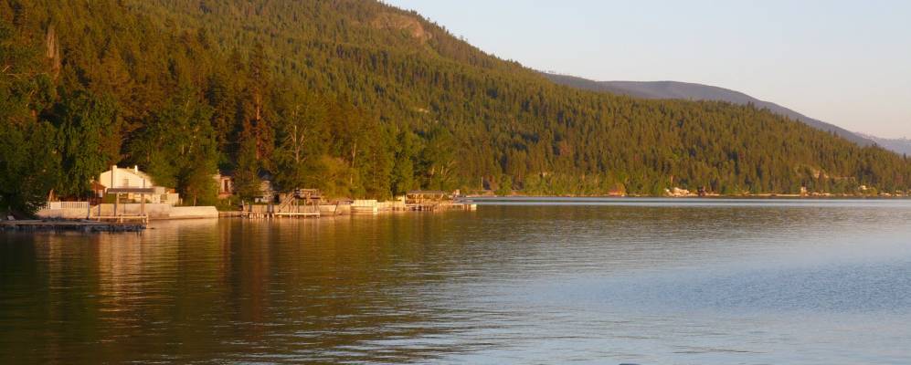 
            Фотография Ревена