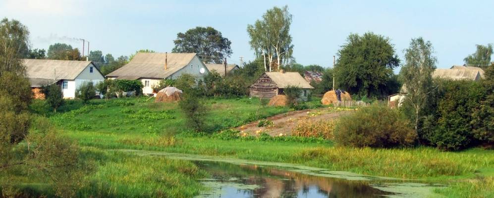 
            Фотография Воли