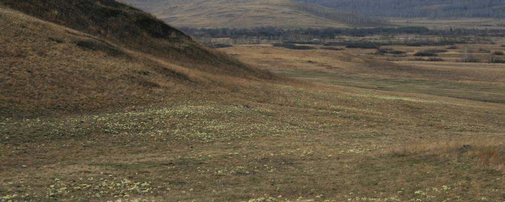 
            Фотография Пичугинского