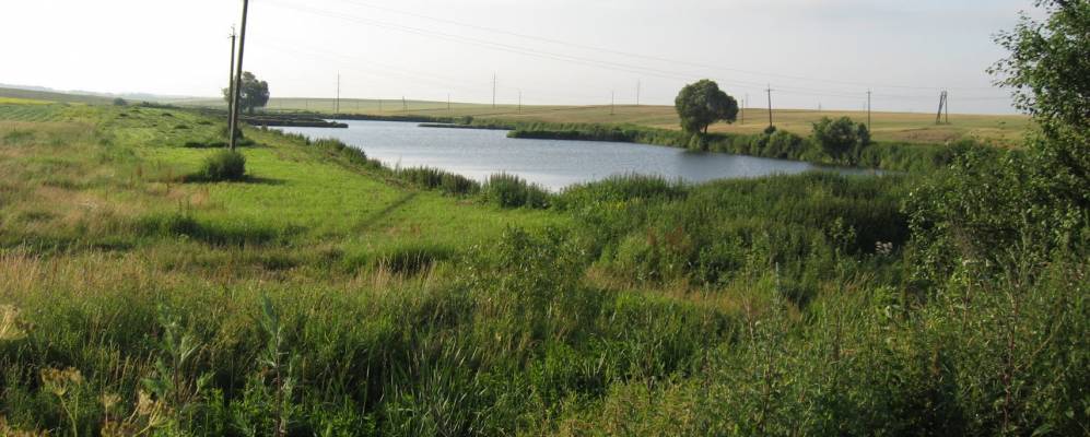 
            Фотография Войславичей