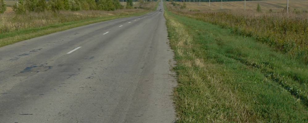 
            Фотография Кожинки