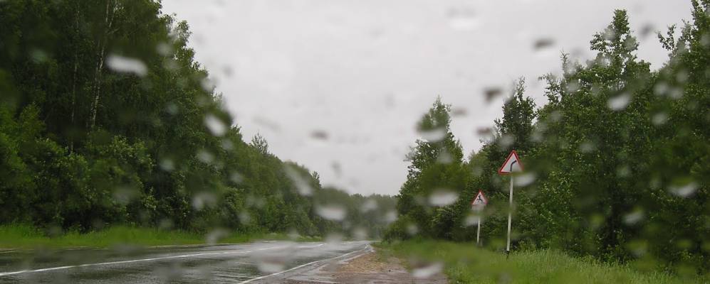 
            Фотография Степинских