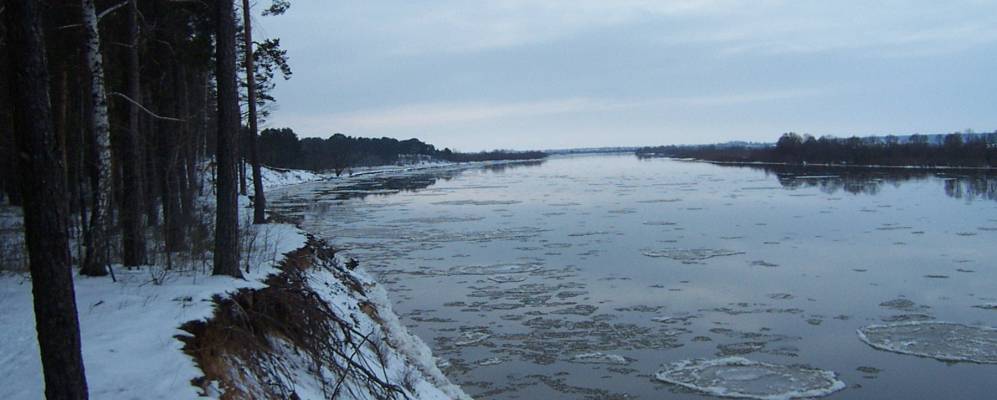 
            Фотография села Гридни