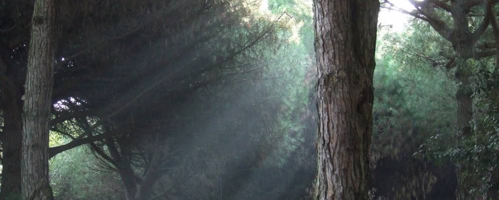 
            Фотография Лидо ди Спины