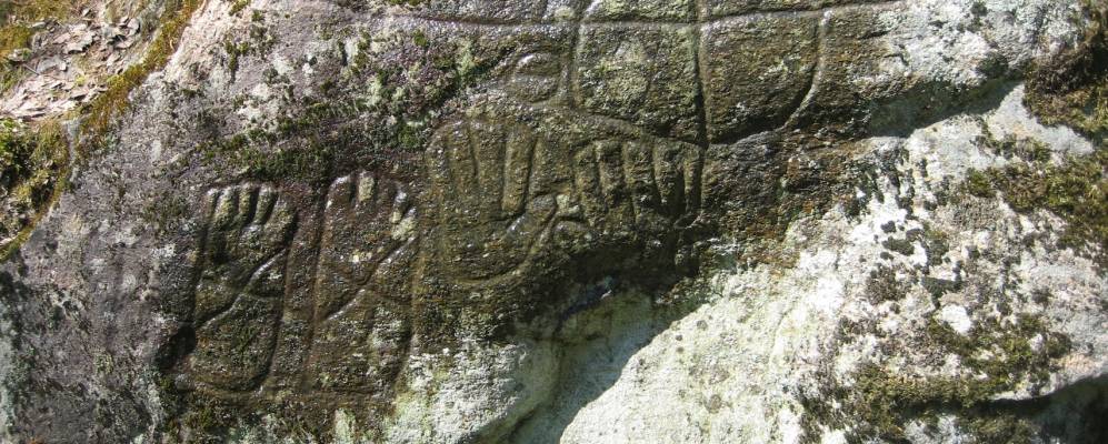 
            Фотография Радоча