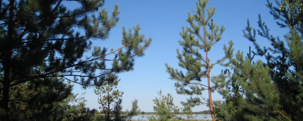 
            Фотография Глинного