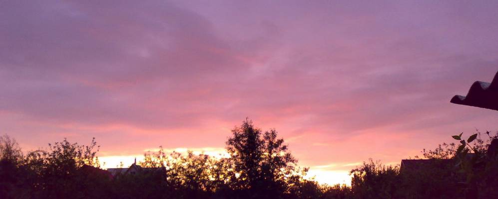 
            Фотография Займища