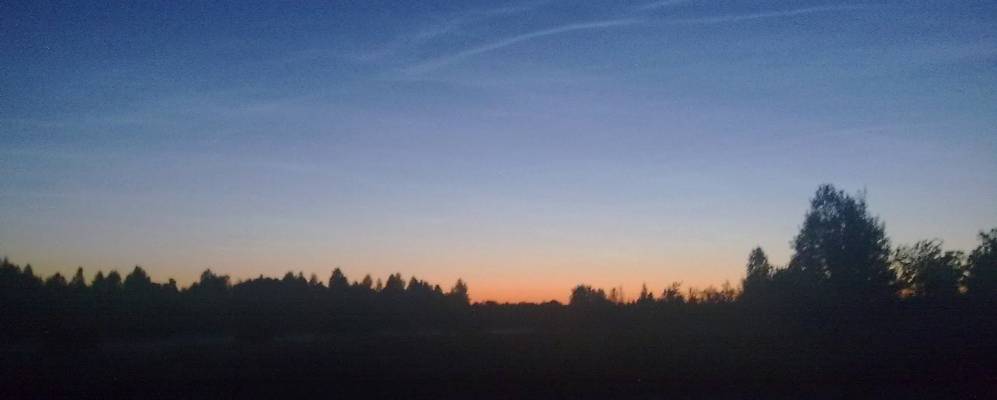 
            Фотография Березовика