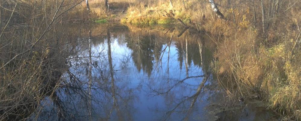 
            Фотография Плотинки