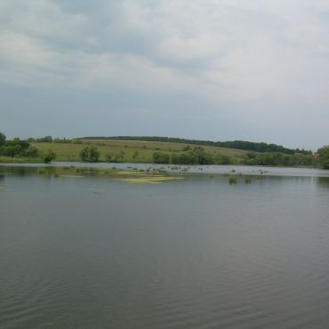 Чигириновка