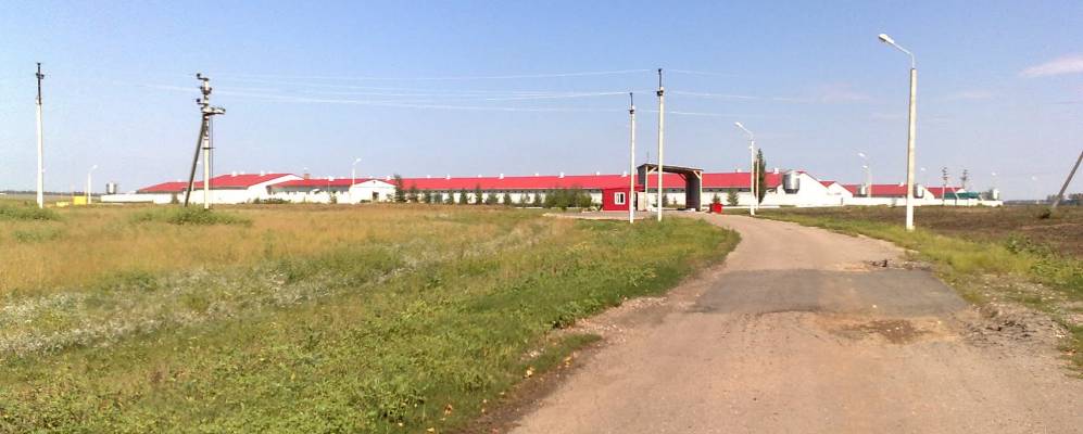 Фотография Гаевки