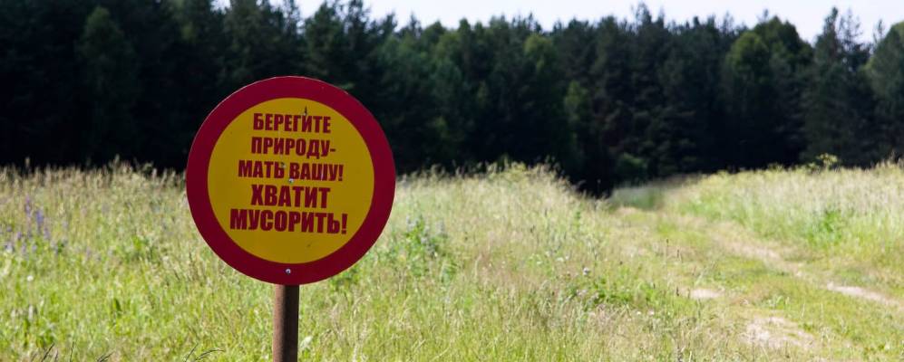 
            Фотография Курочкино