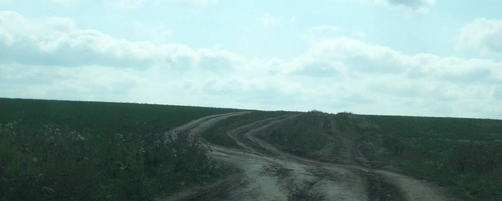 
            Фотография Березника