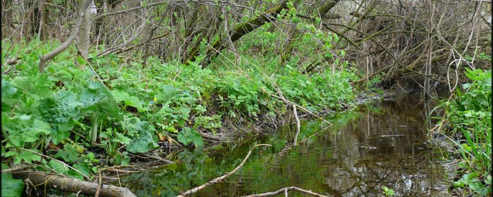 
            Фотография Михайлюки