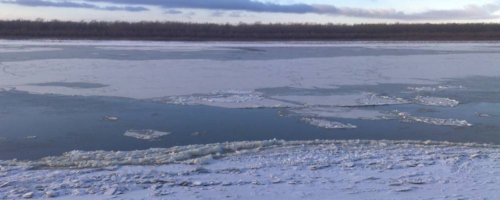 Фотография Медведчиковы