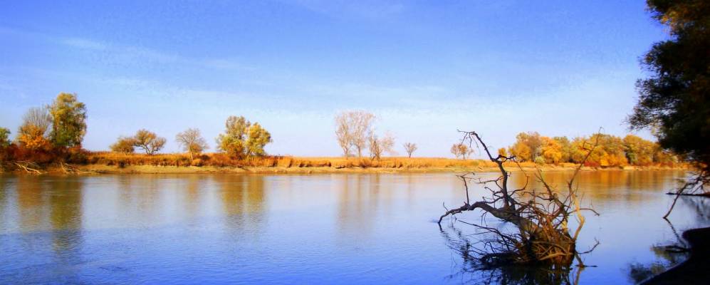 
            Фотография Косовичей