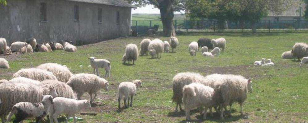 
            Фотография Малой Снегуровки