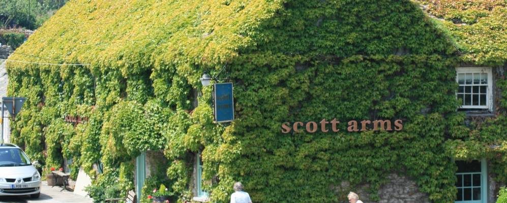 
            Фотография Кингстон