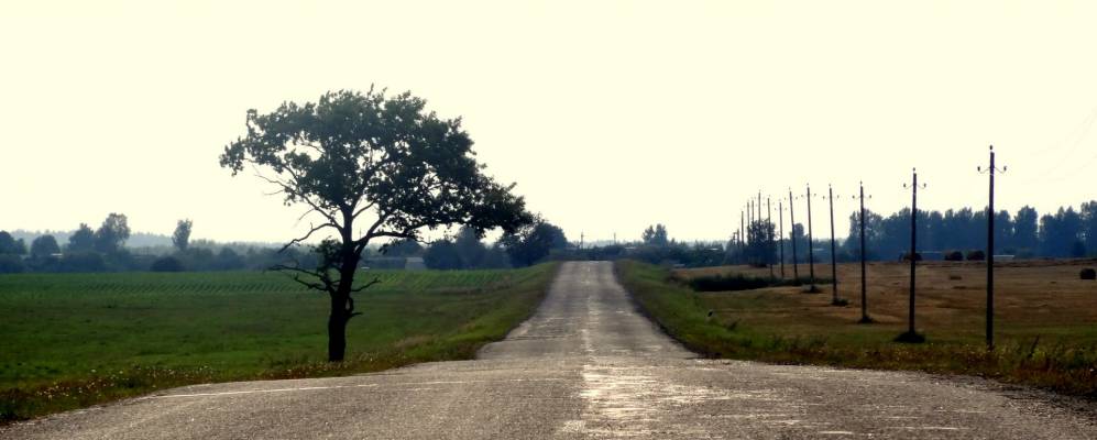 
            Фотография Осовского Бора