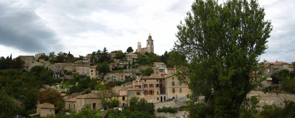 
            Фотография Рейан