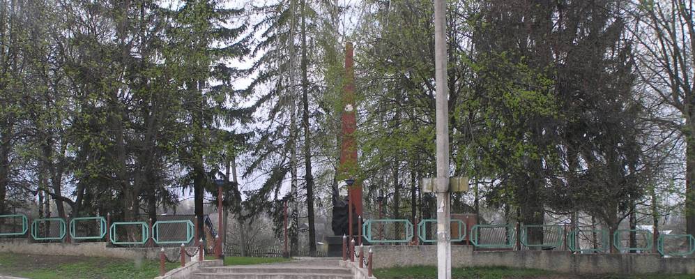 
            Фотография Шипинки