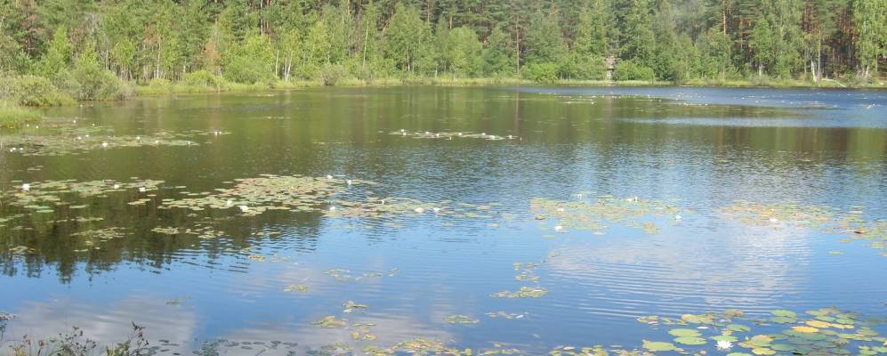 
            Фотография Молочища