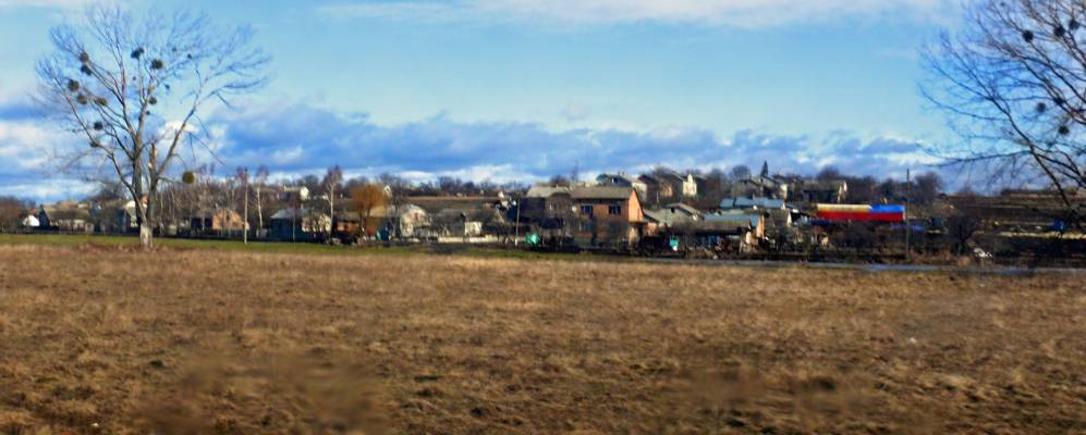 
            Фотография Смерекова