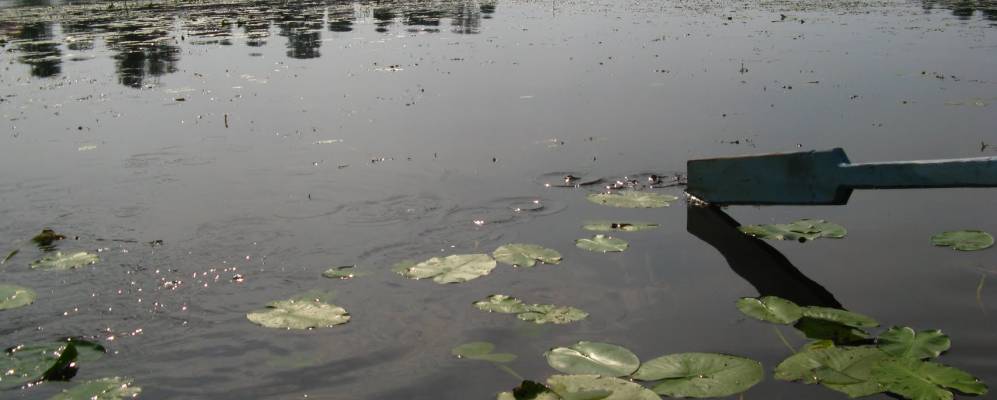 
            Фотография Могилёво