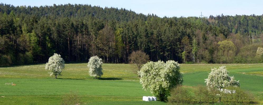
            Фотография Эдельсфельда