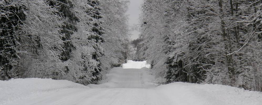 Фотография Мустаметсы