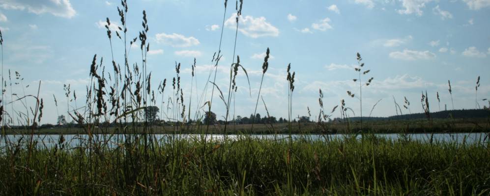 
            Фотография Шустовых