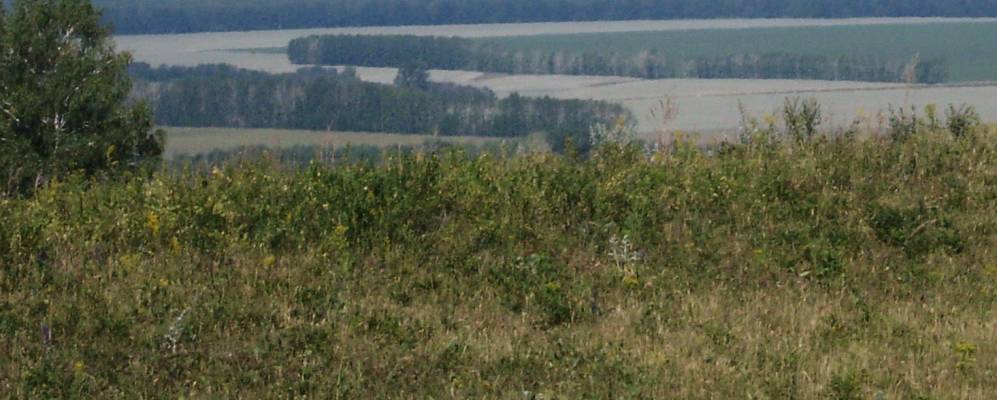 
            Фотография Соленого