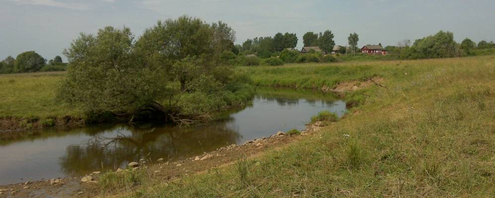 
            Фотография Журавлево