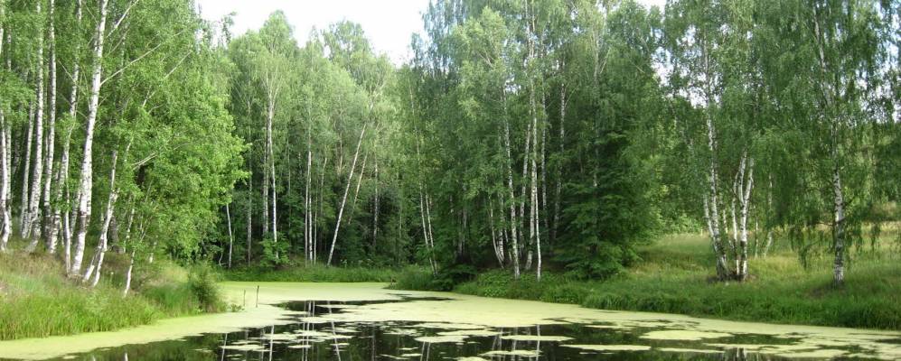 
            Фотография Новой Москвы