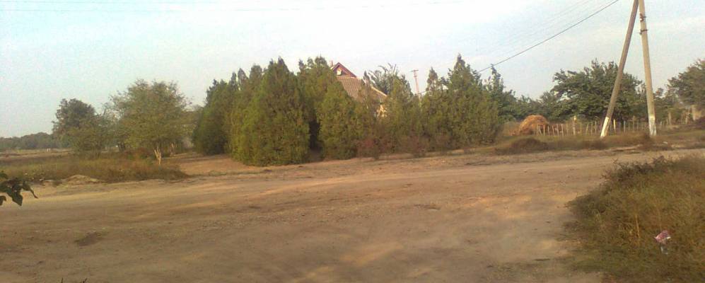 
            Фотография Промини