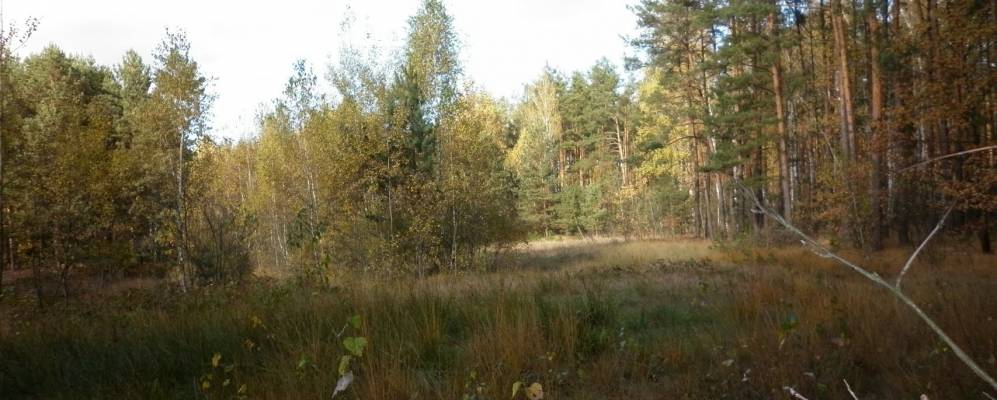 
            Фотография Александровки