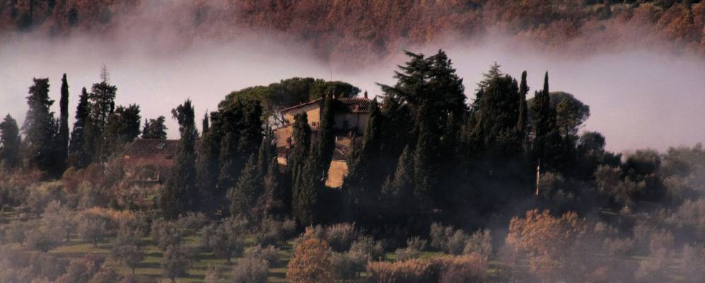 
            Фотография Пелаго