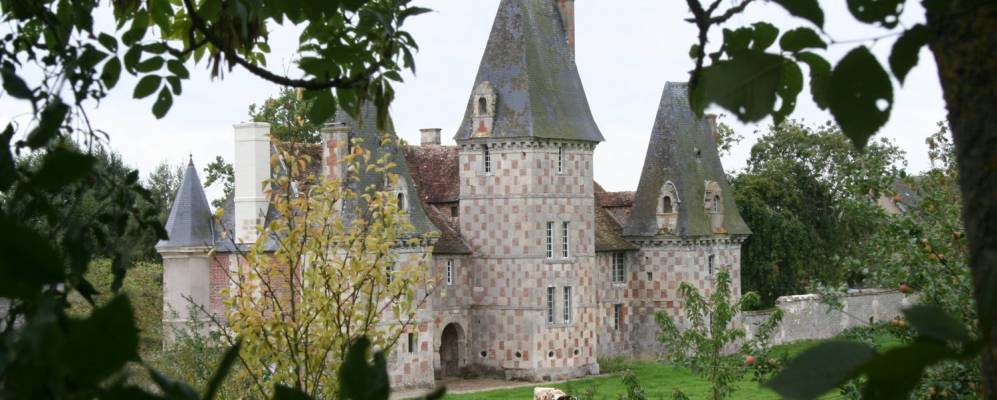 
            Фотография Дозюля