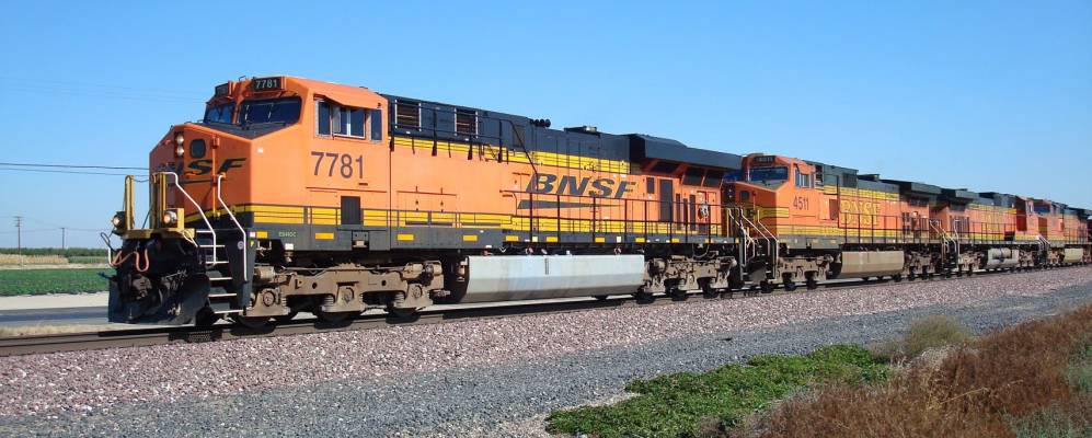 
            Фотография Винтона