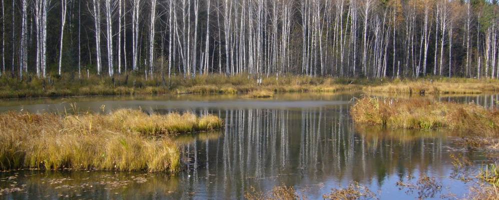 
            Фотография Трошково