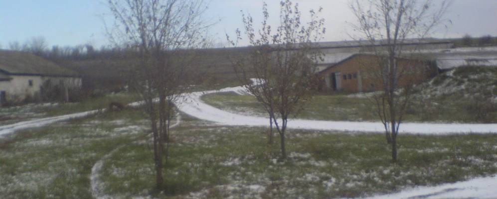 
            Фотография Пилиповки