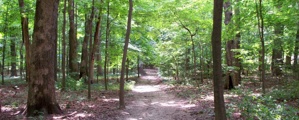 
            Фотография Мокены