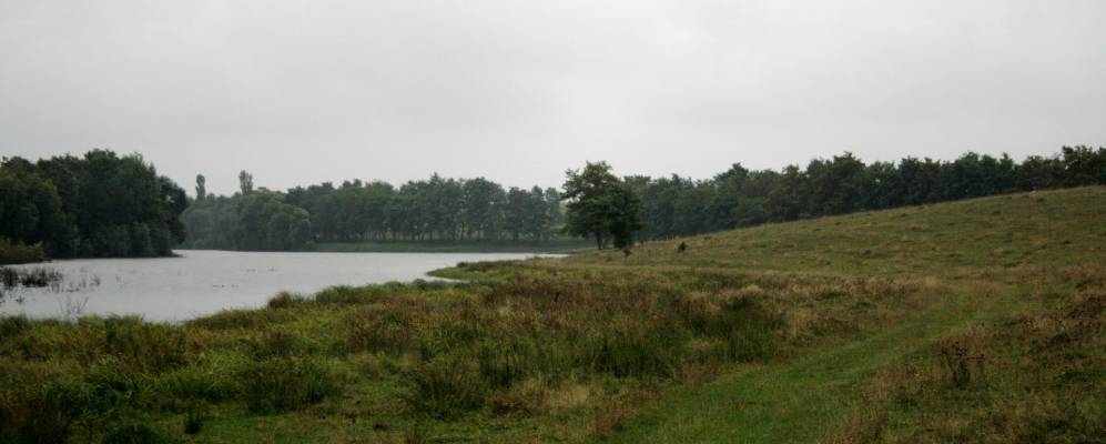 
            Фотография Шевченко