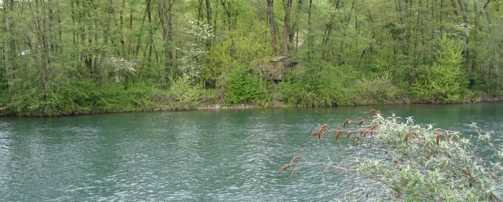 
            Фотография Боттануко