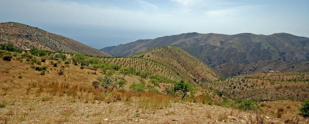 
            Фотография Sorvilán