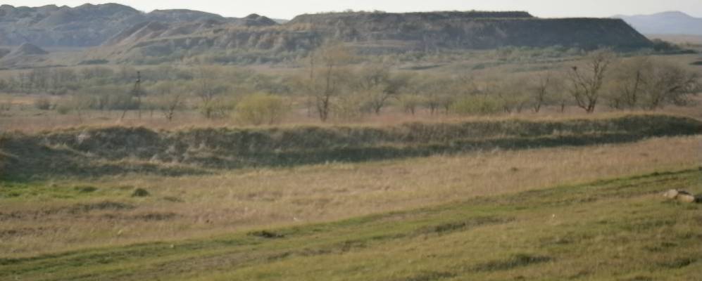 
            Фотография Дальнего