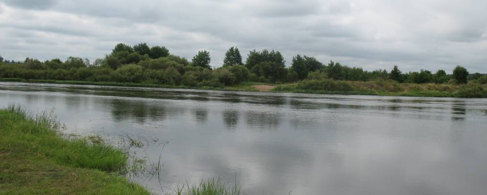 
            Фотография Черневки